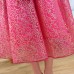 Rose Red Kid Girls Half Sleeve Printed Party Princess Dress