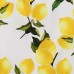 Kid Girls Lemon Printed Sleeveless Knee-Length Dress