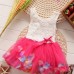 Baby Girls Summer Rose Colorful Tutu Princess Dress
