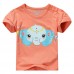 2015 New Little Maven Baby Girl Children Summer Set Short Sleeve Orange T-shirt Top+Plant