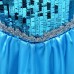 Halloween Kid Girls Sequins Stitching Frozen Princess Cosplay Costume