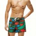 Casual Fish Printing Quickly Dry Drawstring Beach Board Shorts For Men