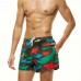 Casual Fish Printing Quickly Dry Drawstring Beach Board Shorts For Men